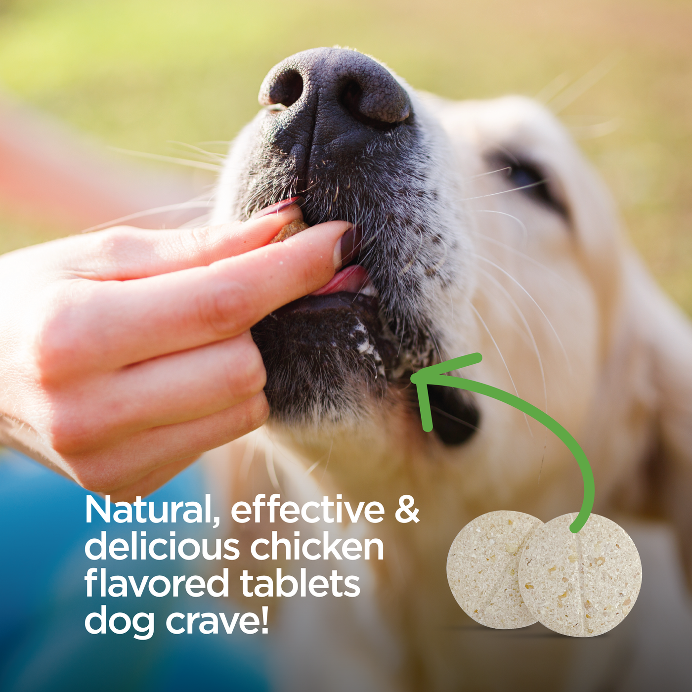 Vetality Naturals Flea/Tick Chews for Dogs *