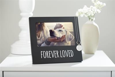 Pearhead Forever Loved Pet Memorial Collar Tag Frame *