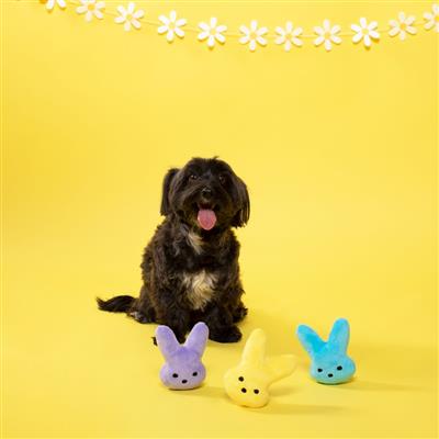 Fringe 3 Piece Plush Dog Toy Set - Chillin' With Some Bunnies