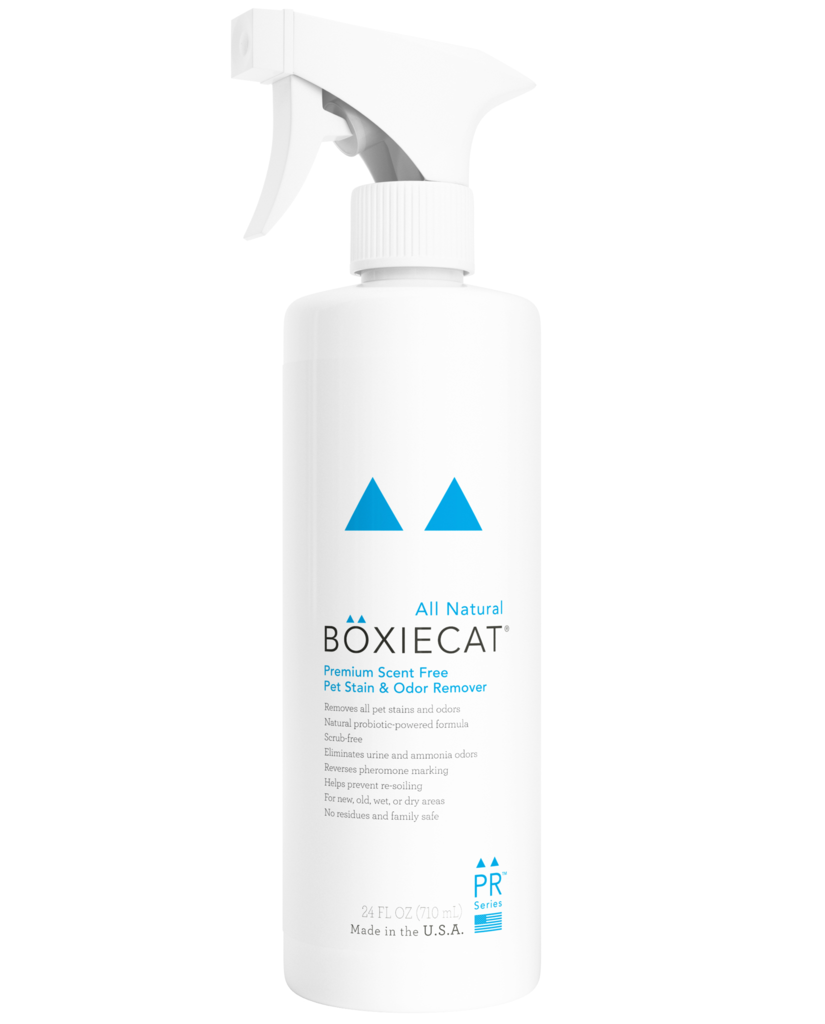 Boxie Cat Scent Free Stain & Odor Remover *