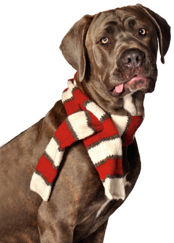 Chilly Dog Red & White Scarf *