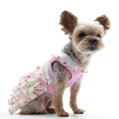 Dogo Pet - Butterfly Dress