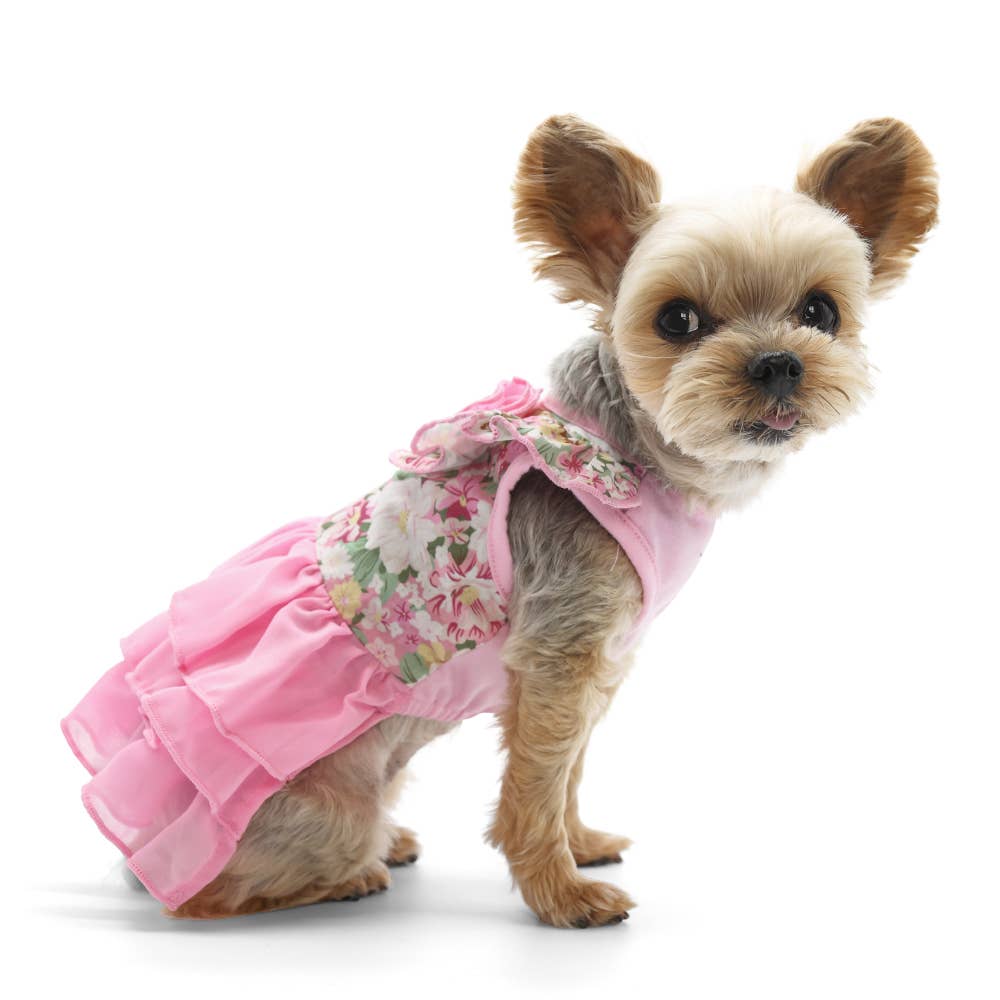 Dogo Pet - Blossom Dress