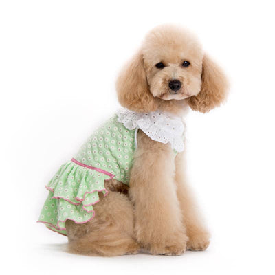 Dogo Pet - Little Flower Dress