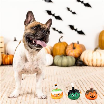 Fringe Halloween 3 Piece Small Dog Toy Set - No Tricks, Just Treats