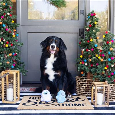 Fringe Holiday Yeti For Us Plush Dog Toys Set Of 2