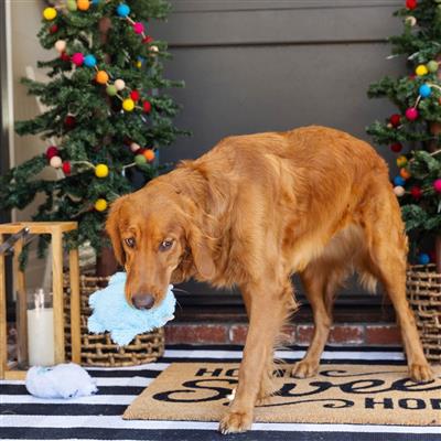 Fringe Holiday Yeti For Us Plush Dog Toys Set Of 2