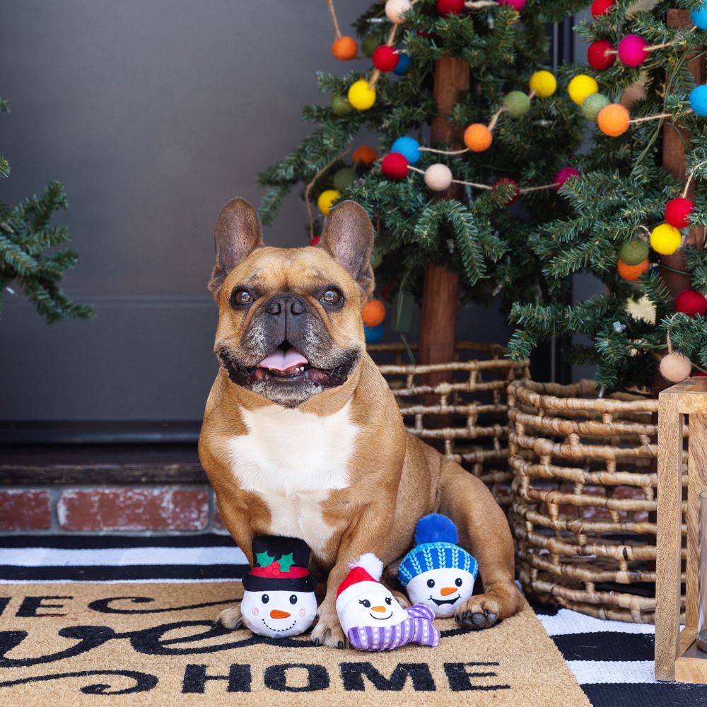 Fringe Holiday Snow Excited Dog Toy 3pc Set