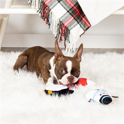 Fringe Holiday We'll Be Home for Christmas Dog Toy 3pc Set