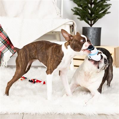 Fringe Holiday We'll Be Home for Christmas Dog Toy 3pc Set