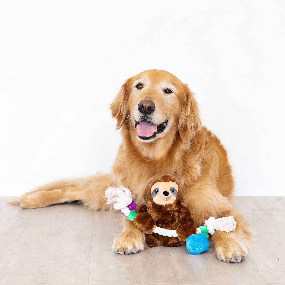 Fringe Holiday Let it Glow Sloth Dog Toy