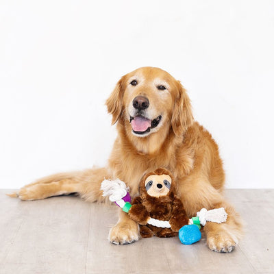 Fringe Holiday Let it Glow Sloth Dog Toy