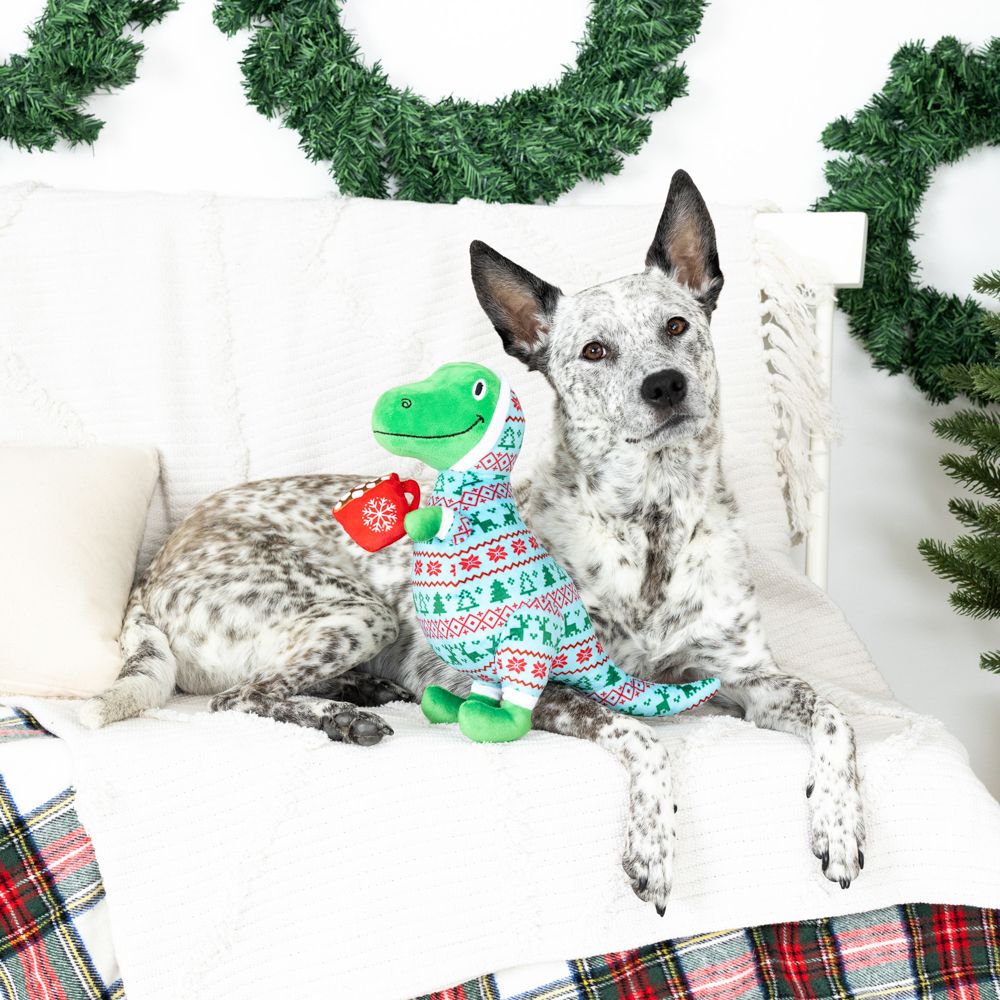Fringe Holiday Time for T-Rest Dog Toy