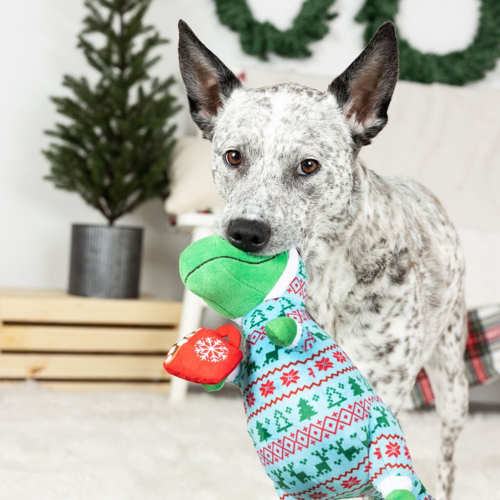 Fringe Holiday Time for T-Rest Dog Toy