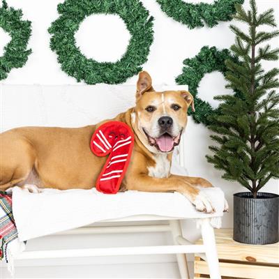 Fringe Holiday Sweet But Twisted Durable Candy Cane Dog Toy