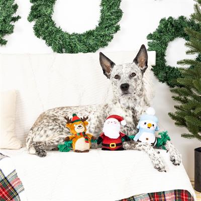 Fringe Holiday Christmas Crew Plush Dog Toy