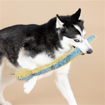 Fringe Don't Get Wrapped Up Earth Friendly Dog Toy