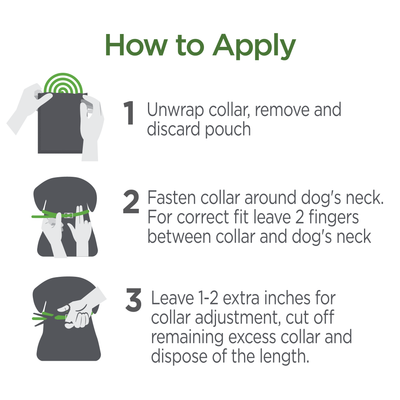 Vetality Avantect II Collars for Dogs *