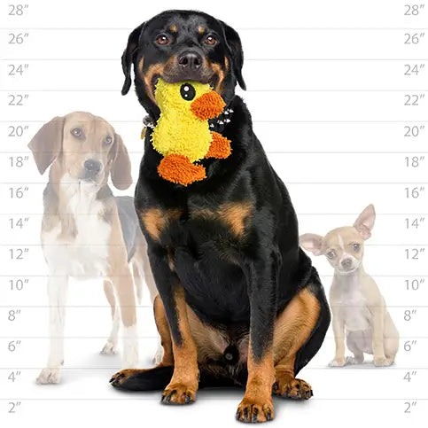 Tuffies Mighty Microfiber Dog Toy - Duck