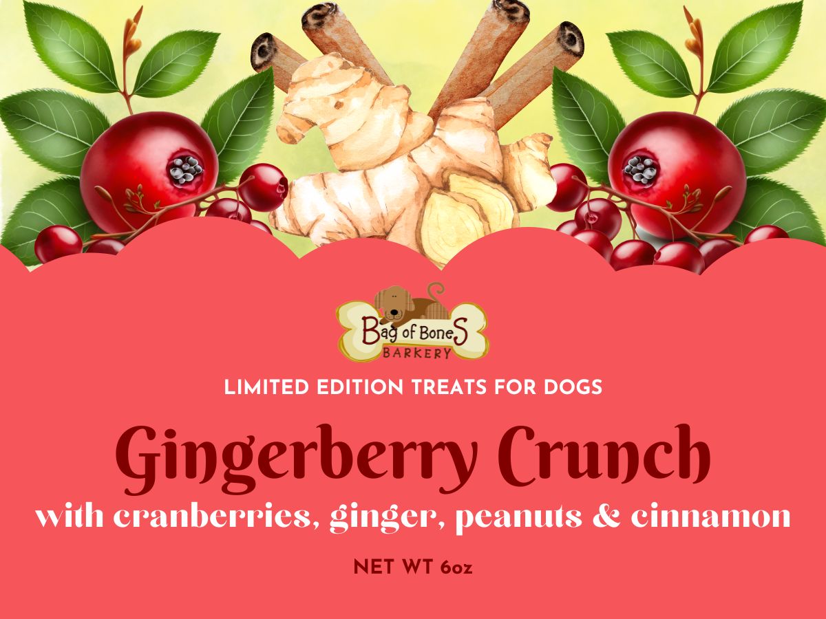 3/$20 Dog Treats Spring 2024 - Gingerberry Crunch