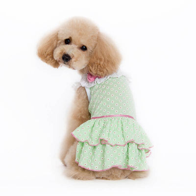 Dogo Pet - Little Flower Dress