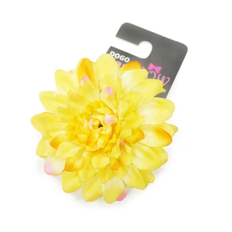 Dogo Pet - EasyBOW Flower 10