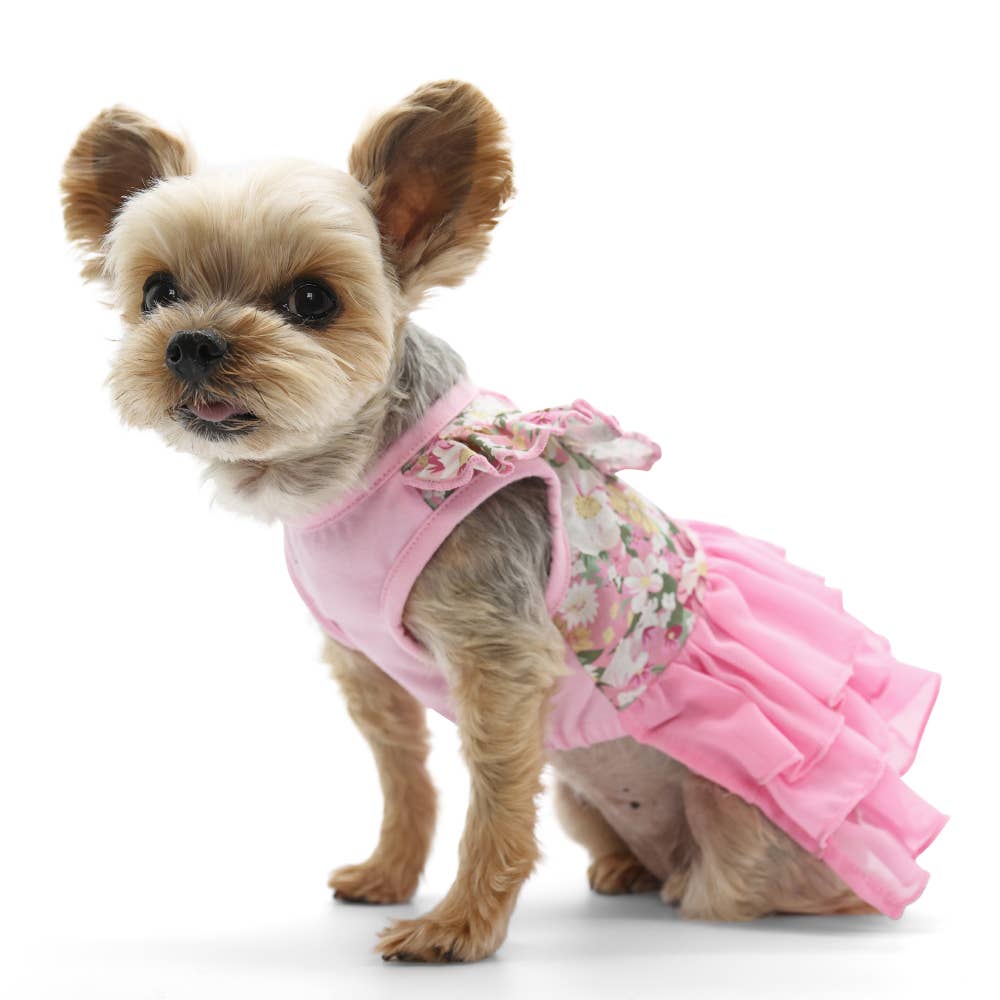 Dogo Pet - Blossom Dress