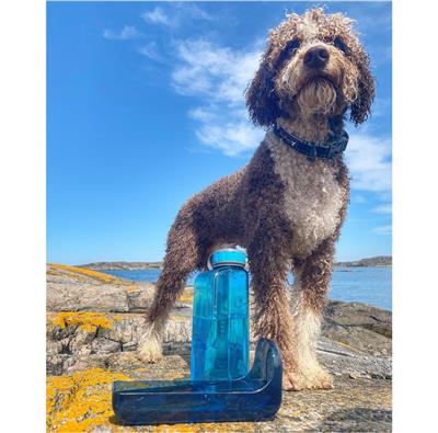 Olly Dog Water Bottle *