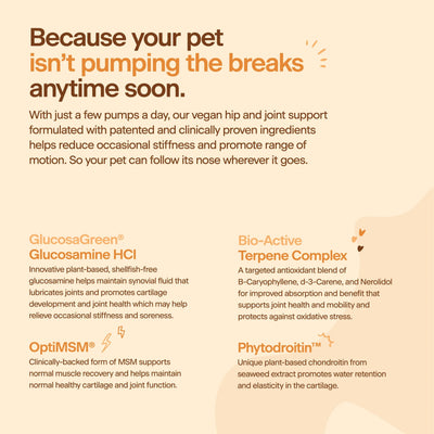 Prospect Dog Sustainably Sourced Glucosamine