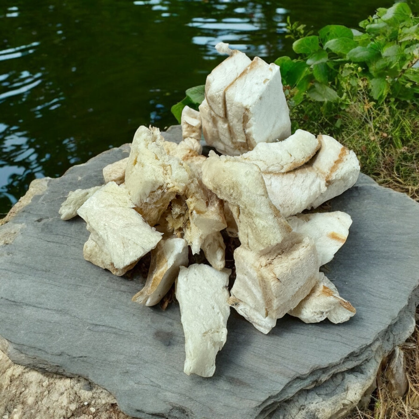 The Chewsy Dog Freeze Dried - Fish Nibblez Pollock