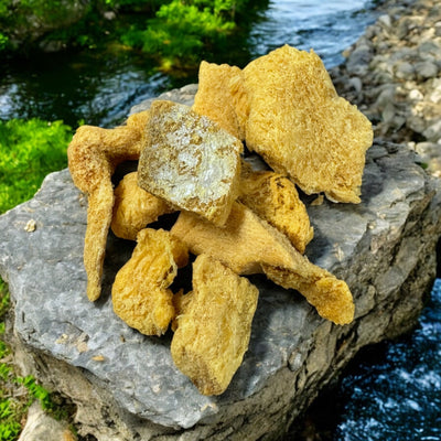 The Chewsy Dog Freeze Dried - Salmon Snax