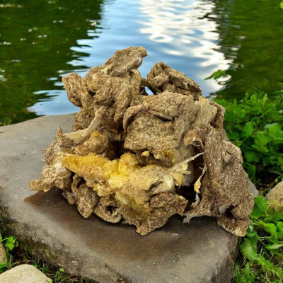 The Chewsy Dog Freeze Dried - Duck Boomz