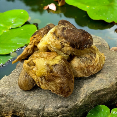 The Chewsy Dog Freeze Dried - Duck Lovies