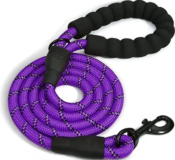 Doggy Tales Braided Leash *