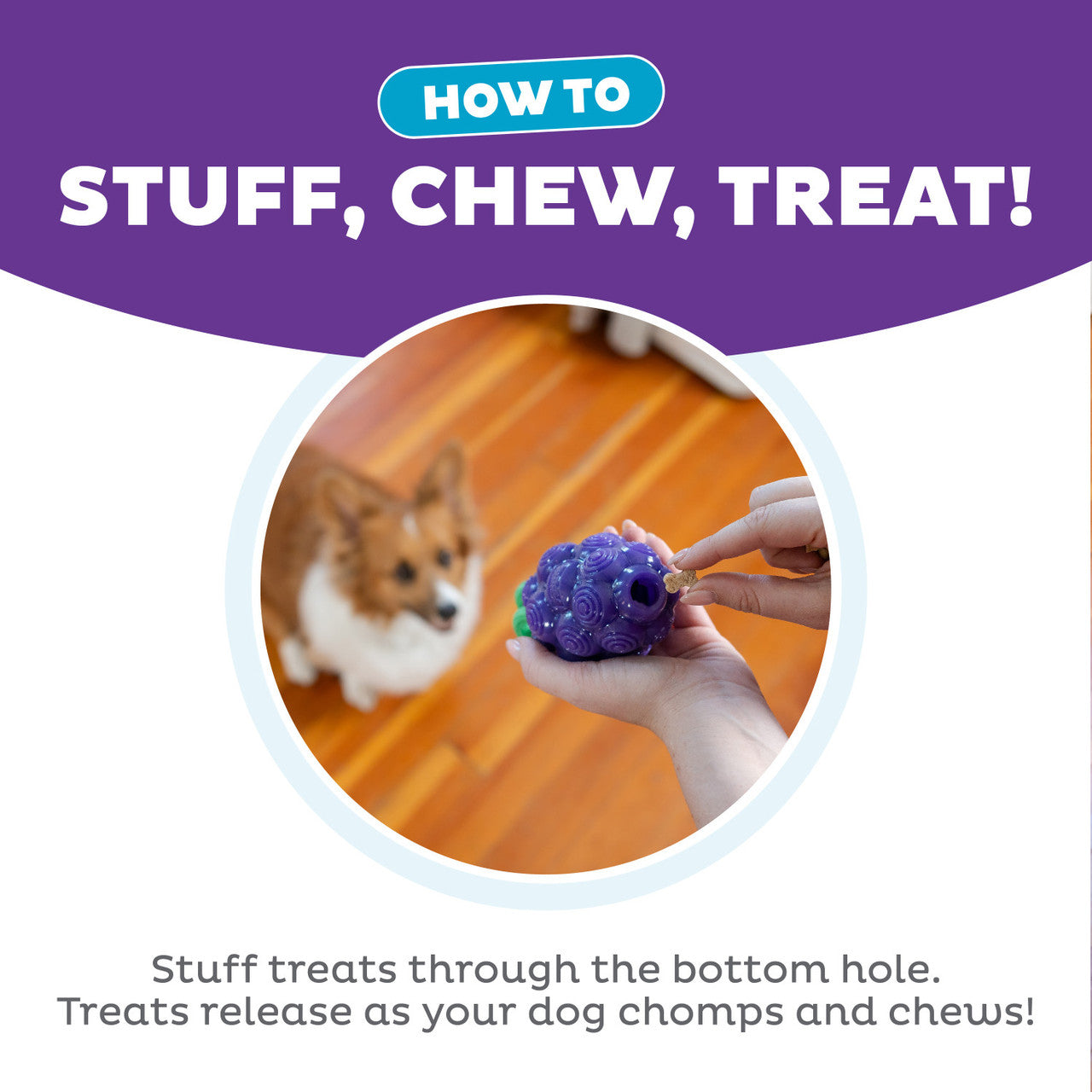 OH Dog Treat Dispensing Dental Grape Toy