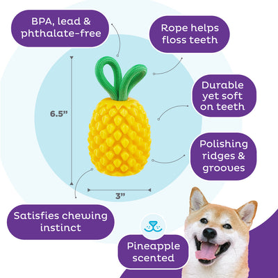 OH Dog Treat Dispensing Dental Pineapple Toy