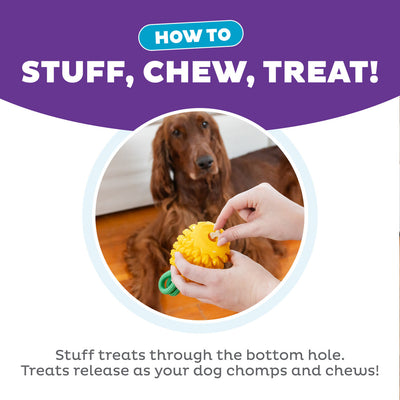 OH Dog Treat Dispensing Dental Pineapple Toy