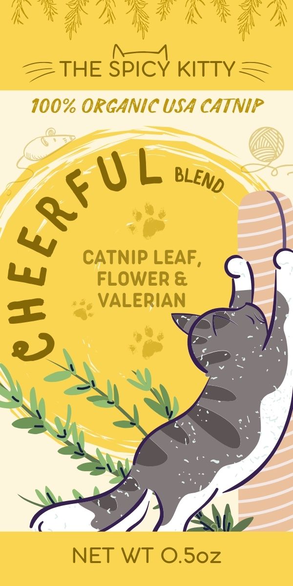 The Spicy Kitty Catnip - Cheerful Blend