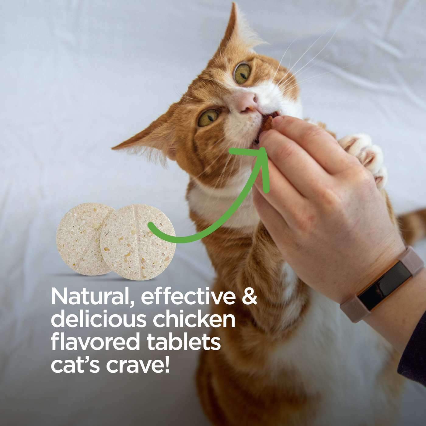 Vetality Naturals Flea/Tick Chews for Cats *