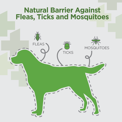 Vetality Naturals Flea/Tick Chews for Dogs *
