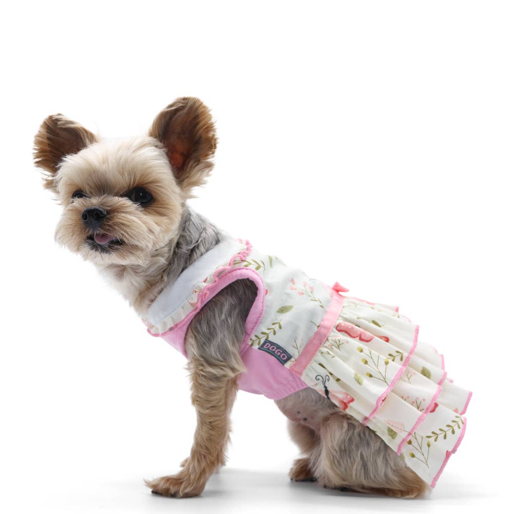 Dogo Pet - Butterfly Dress