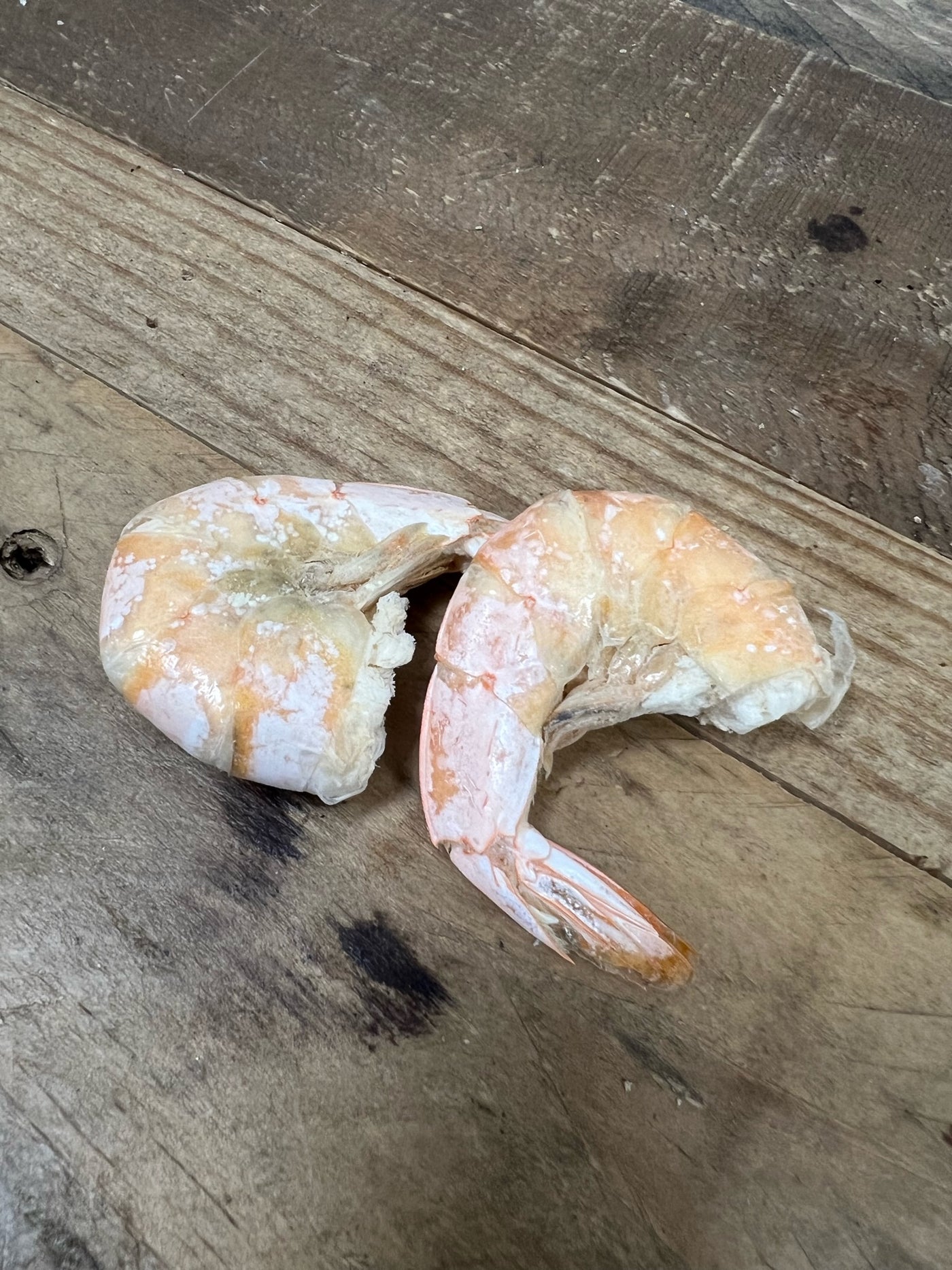 The Chewsy Dog Freeze Dried - Big Shrimpz *