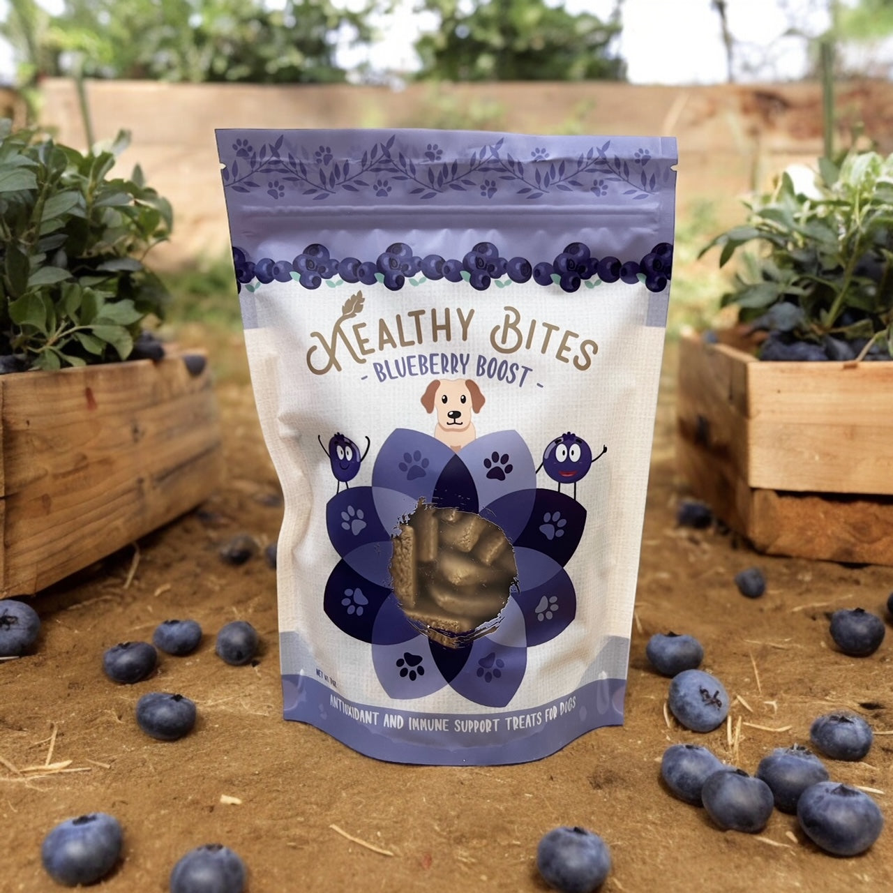 Healthy Bites Blueberry Boost Antioxidant & Immune Support