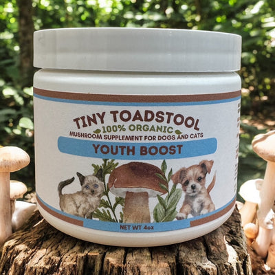 Tiny Toadstool Mushroom Supplement - Youth Boost