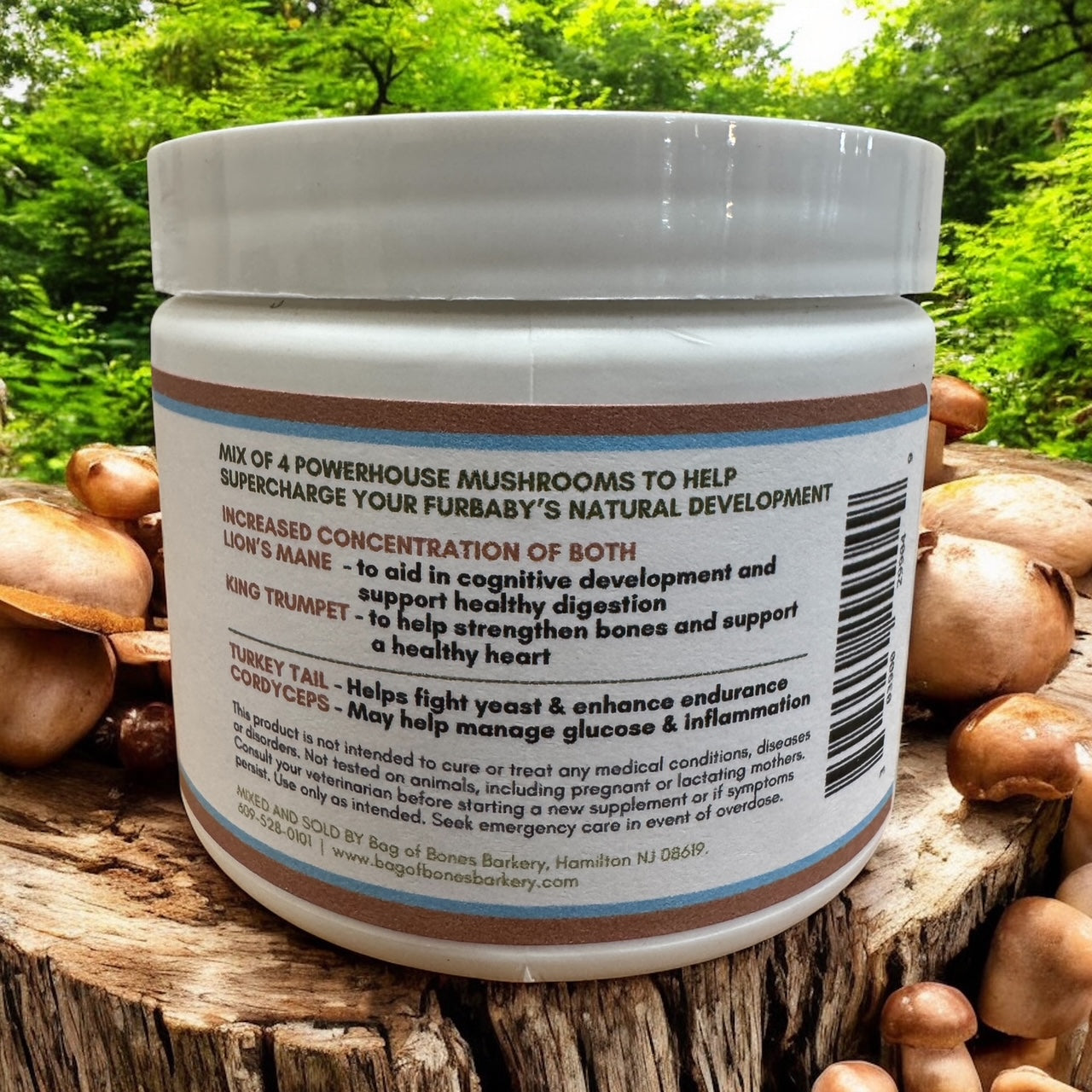 Tiny Toadstool Mushroom Supplement - Youth Boost