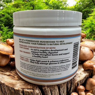 Tiny Toadstool Mushroom Supplement - Youth Boost