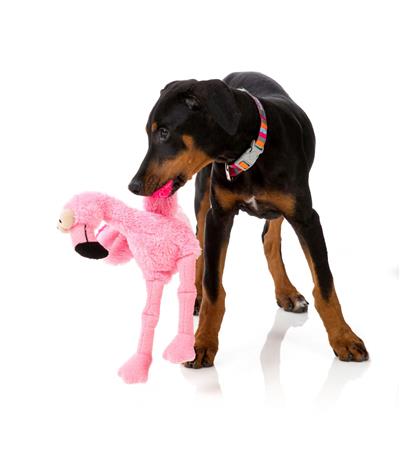 FuzzYard Flo the Flamingo Dog Toy *