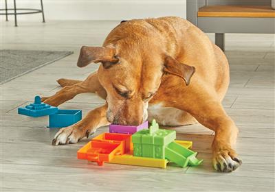 Brightkins Pet Puzzles - Surprise Party *