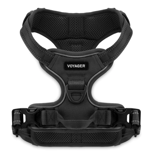 Voyager Dual Attachment Adjustable Harness *