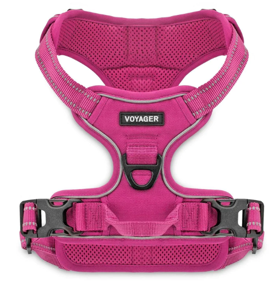 Voyager Dual Attachment Adjustable Harness *